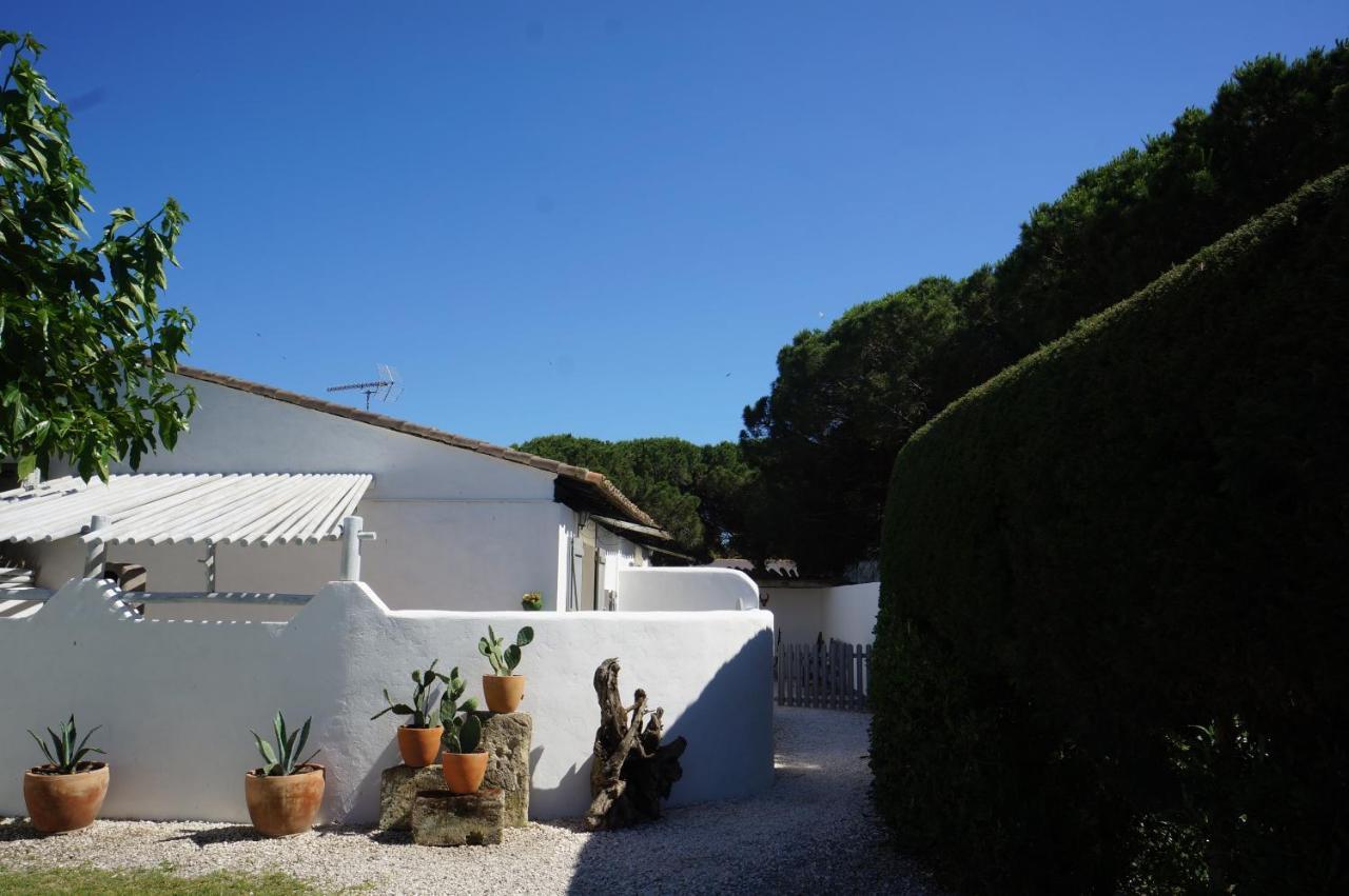 Le Mas Des Tremaie Saintes-Maries-de-la-Mer Kültér fotó